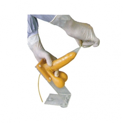 男性避孕套練習模型