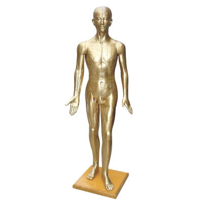 高178CM 針灸銅人模型