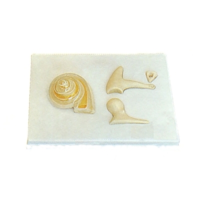 內(nèi)耳、聽小骨及骨膜放大模型