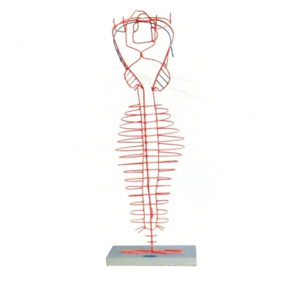 背主動脈的演變模型