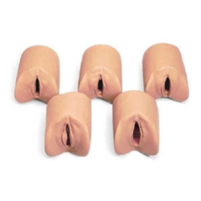 生產(chǎn)全程宮頸及陰道變化模型