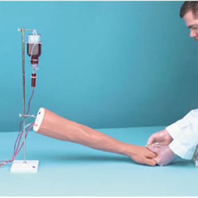 高級(jí)靜脈注射及肌肉注射手臂模型