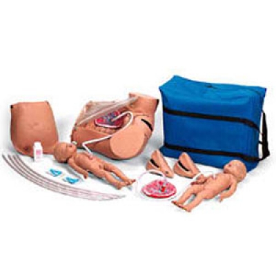 高級(jí)分娩機(jī)轉(zhuǎn)示教模型