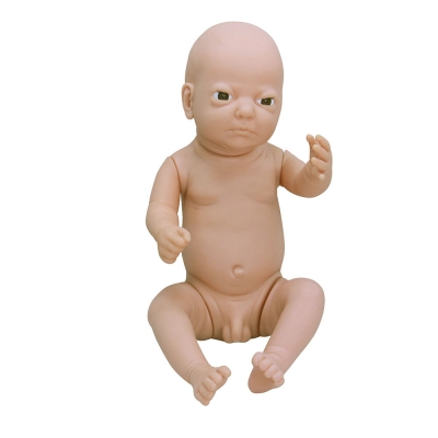 高級(jí)出生嬰兒模型(男嬰、女嬰任選)