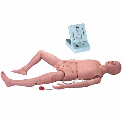  高級成人護(hù)理及CPR模型人