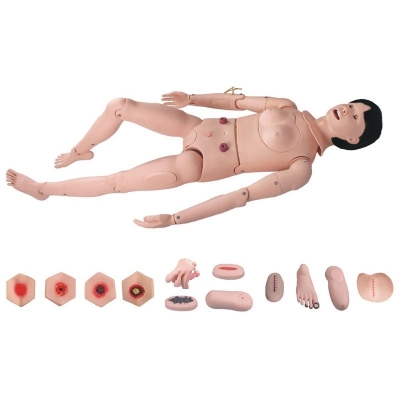    高級全功能護(hù)理人訓(xùn)練模型（女性）