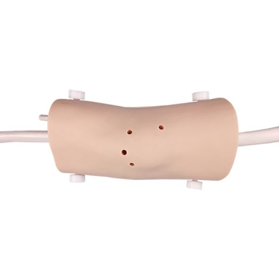 膝關(guān)節(jié)鏡檢查模型