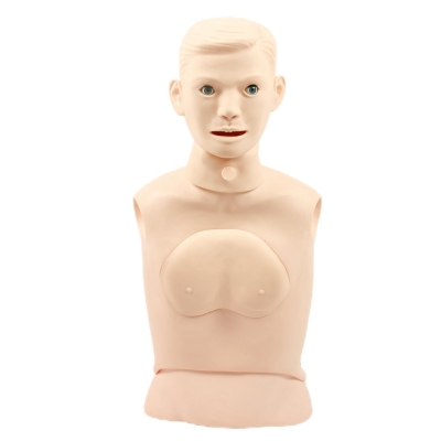 高級(jí)鼻胃管與氣管護(hù)理模型