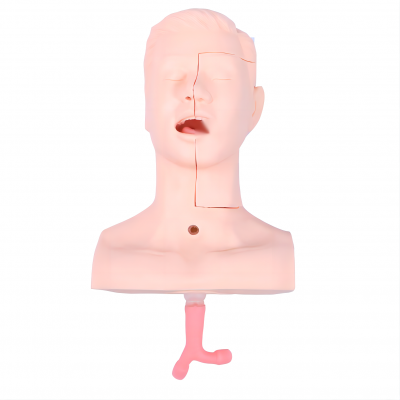 高級(jí)吸痰練習(xí)模型