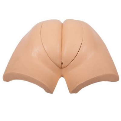 高級著裝式人工取便訓(xùn)練模型