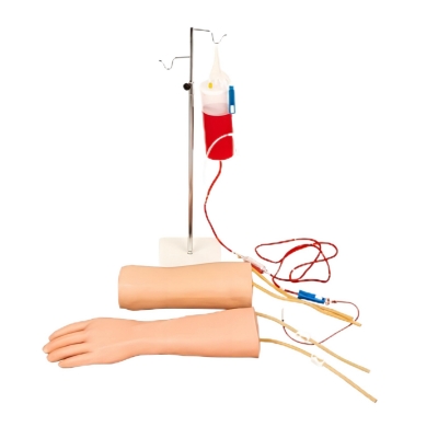 手部、肘部組合式靜脈輸液（血）訓(xùn)練模型