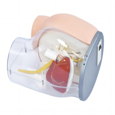 高級(jí)臀部肌肉注射訓(xùn)練及對(duì)比模型(帶檢測(cè)警示系統(tǒng))