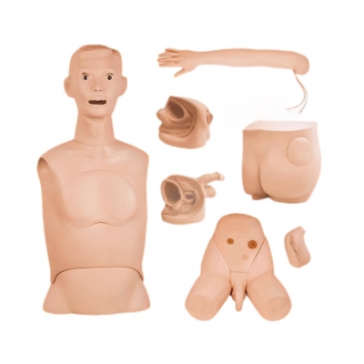 高級(jí)基礎(chǔ)護(hù)理實(shí)習(xí)操作模型（七部件）