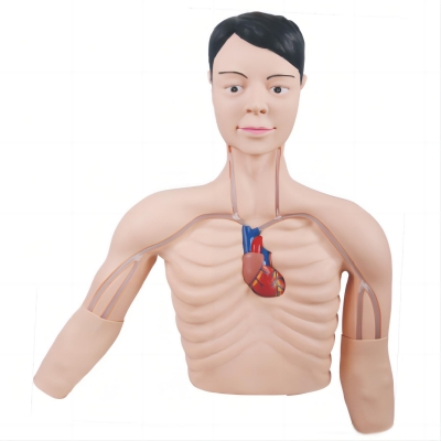  PICC介入訓練模型