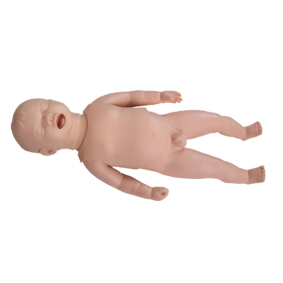 新生兒生長(zhǎng)指標(biāo)評(píng)定及護(hù)理訓(xùn)練模型