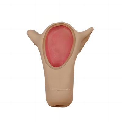 高級宮內(nèi)避孕訓練模型