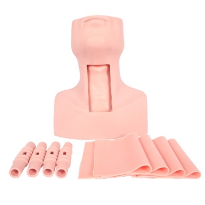 高級環(huán)甲膜穿刺及氣管切開訓練模型