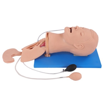 高級(jí)多功能氣道管理模型