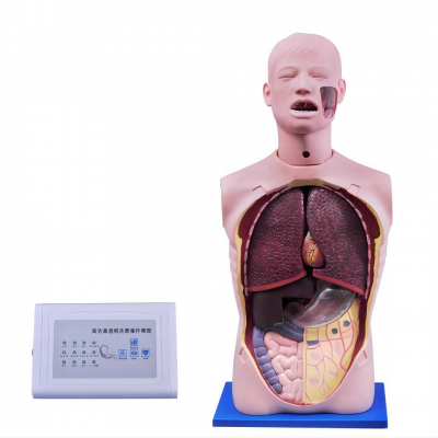 高級(jí)透明洗胃訓(xùn)練模型