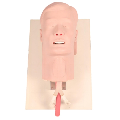 環(huán)甲膜穿刺和切開仿真模型