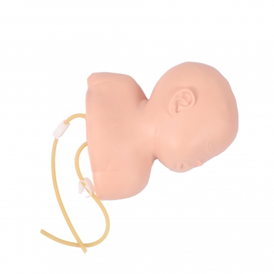 高級(jí)嬰兒頭部靜脈穿刺訓(xùn)練示教模型