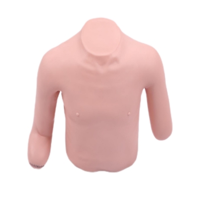 高級高位包扎模型