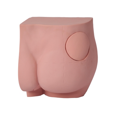 臀部注射實(shí)習(xí)模型