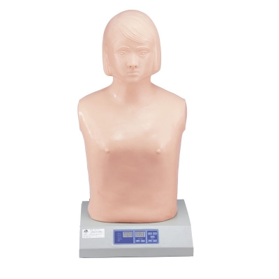 全自動(dòng)心肺觸診聽(tīng)診模擬人（單機(jī)版）