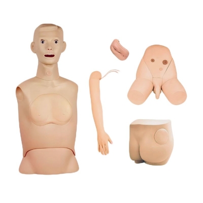 高級(jí)基礎(chǔ)護(hù)理實(shí)習(xí)操作模型（五部件）