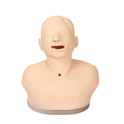 高級(jí)成人氣管切開護(hù)理模型