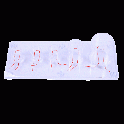 高級深部張力打結(jié)技能訓(xùn)練模型