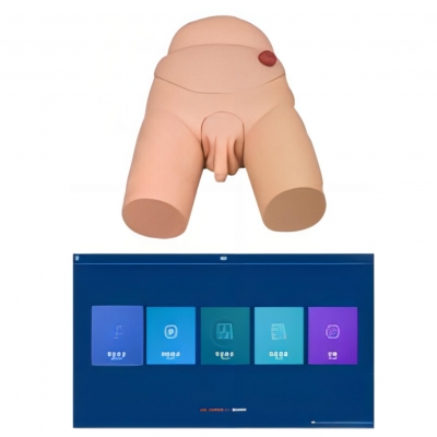 高級(jí)男性導(dǎo)尿模型（軟件版）