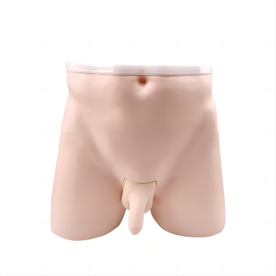 輸精管結(jié)扎術(shù)訓練模型