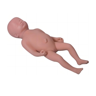 高級(jí)足月胎兒模型(男嬰、女嬰任選)