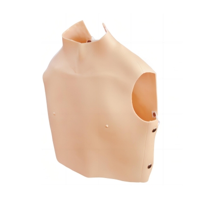 心肺聽診訓練模型