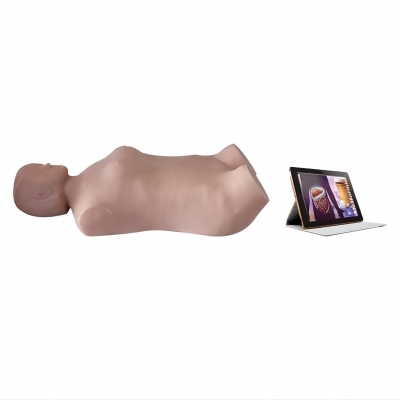 無(wú)線PAD版全自動(dòng)腹部觸診聽(tīng)診模擬人