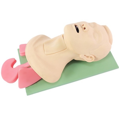 高級(jí)氣道管理模擬人