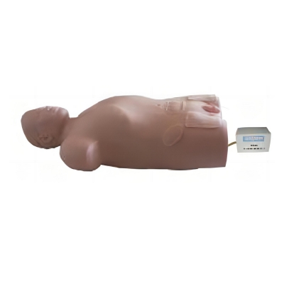 中心靜脈穿刺注射軀干模型