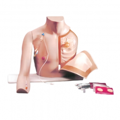 胸部注射訓練模型