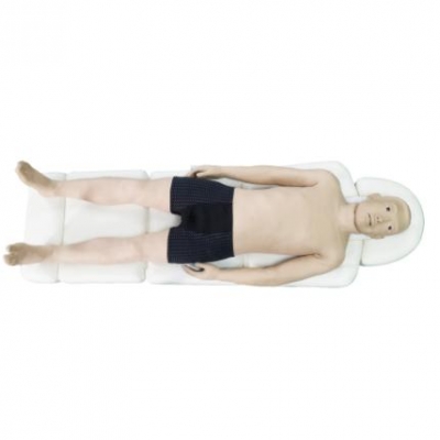 中醫(yī)針灸仿真模擬人