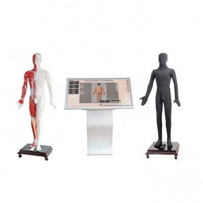 多媒體人體針灸穴位交互數(shù)字平臺